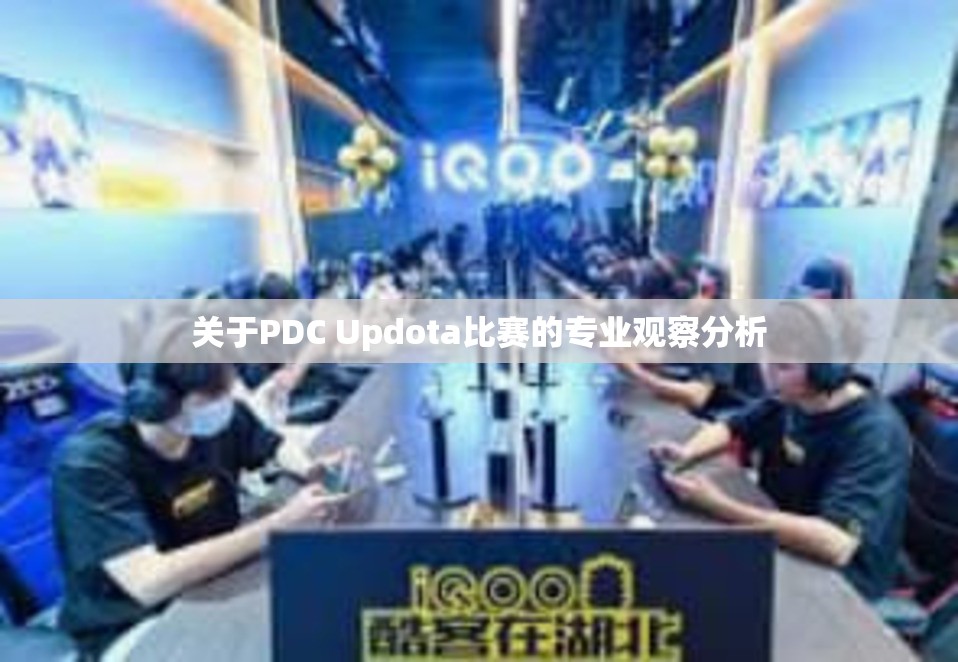 关于PDC Updota比赛的专业观察分析